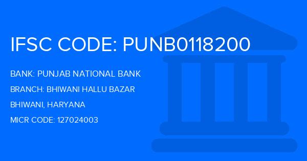 Punjab National Bank (PNB) Bhiwani Hallu Bazar Branch IFSC Code