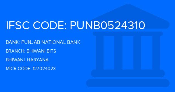 Punjab National Bank (PNB) Bhiwani Bits Branch IFSC Code