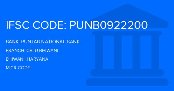 Punjab National Bank (PNB) Cblu Bhiwani Branch IFSC Code